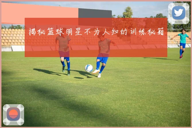 揭秘篮球明星不为人知的训练秘籍