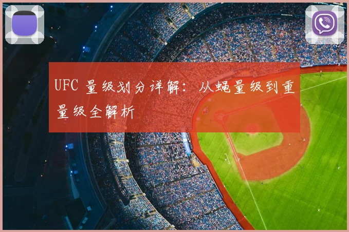 UFC 量级划分详解：从蝇量级到重量级全解析