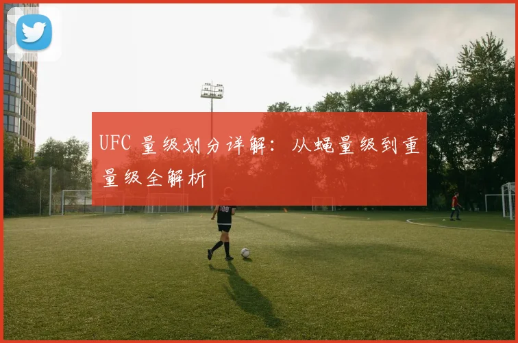 UFC 量级划分详解:从蝇量级到重量级全解析