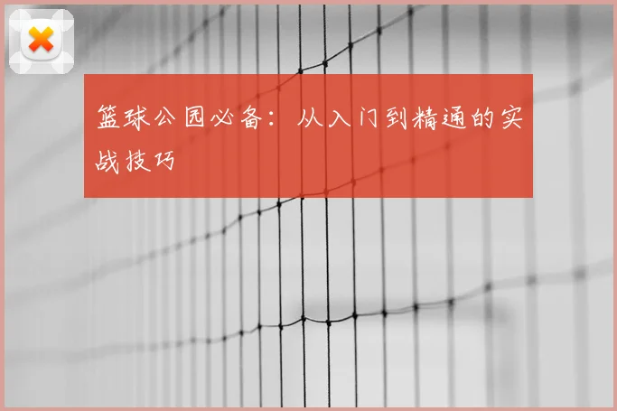篮球公园必备:从入门到精通的实战技巧